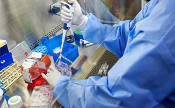 deadly fungi infections