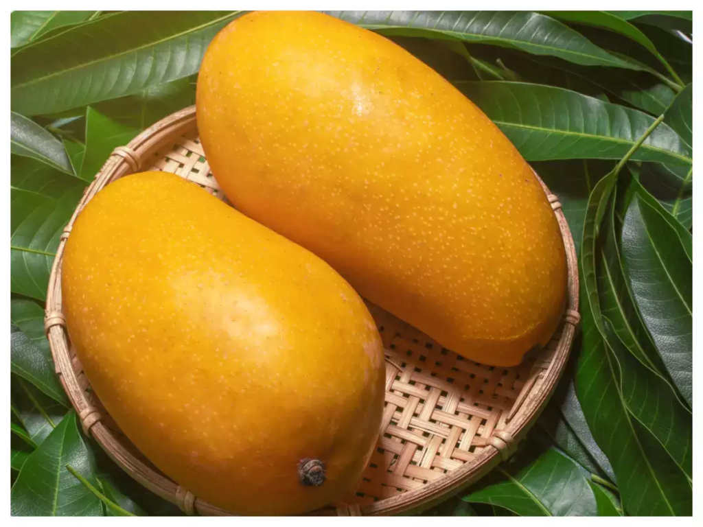  Mango is a supplement for healthy diet