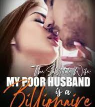 The Substitute Wife: My Poor Husband Is A Billionaire