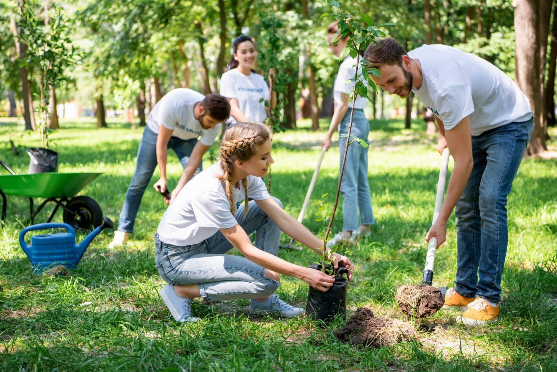 volunteering for conservation