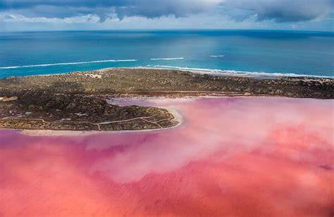 pink lake, Australia 