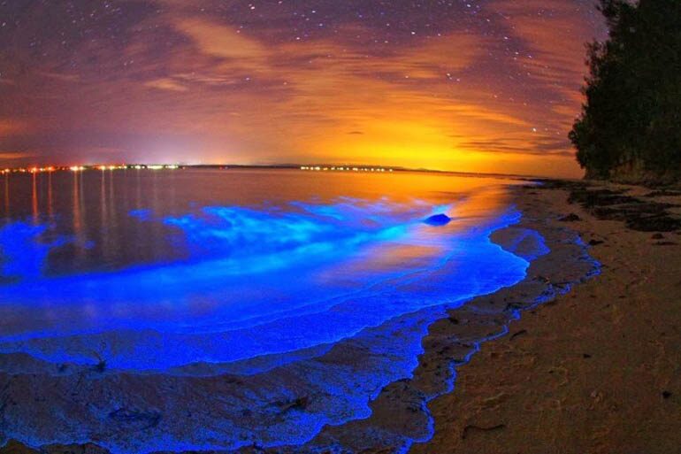 Bioluminescent Bay, Puerto Rico