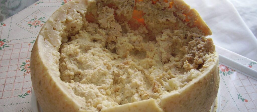 Casu Marzu: 