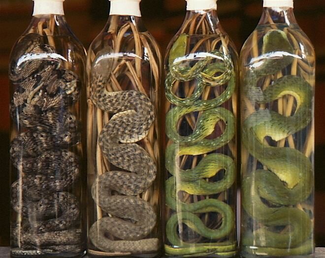 Snake Wine: 