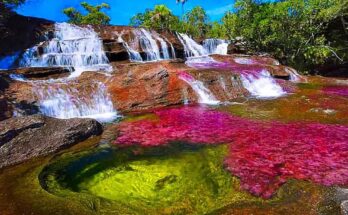 Caño Cristales, Colombia