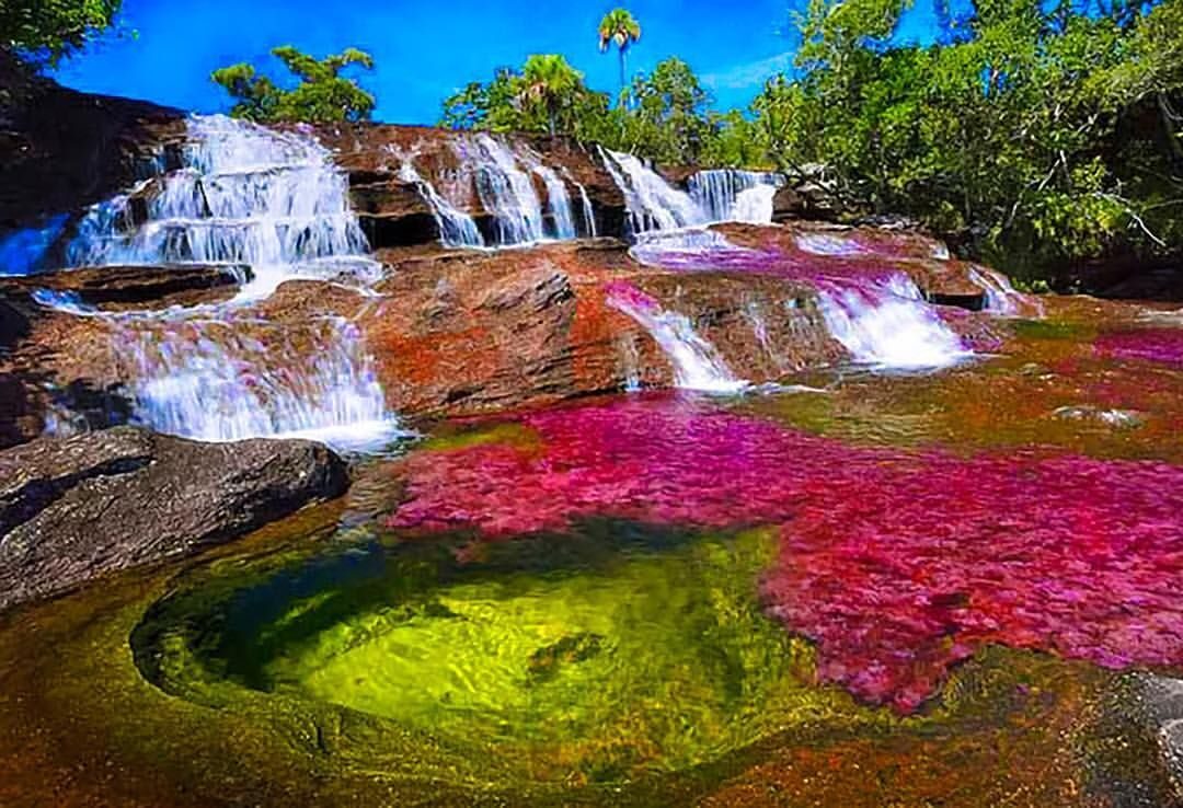 Caño Cristales, Colombia