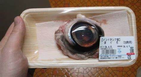 Tuna Eyeball: 