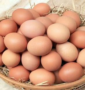 Eggs