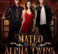 Mated to the Alpha Twins