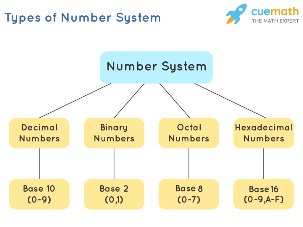 Why Do We Count in Base 10? Exploring the Origins and Advantages of Our Number System