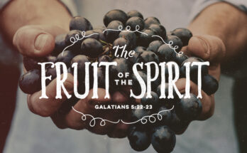 the fruit of the spirit