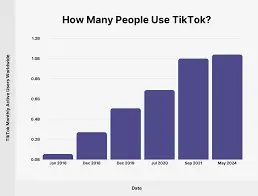 How to Make Money on TikTok 3