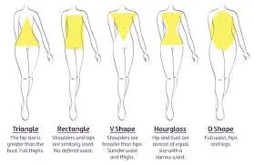 Body Sizes