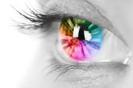 The Power of Visual Appeal