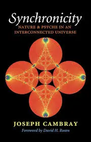Understanding Synchronicity