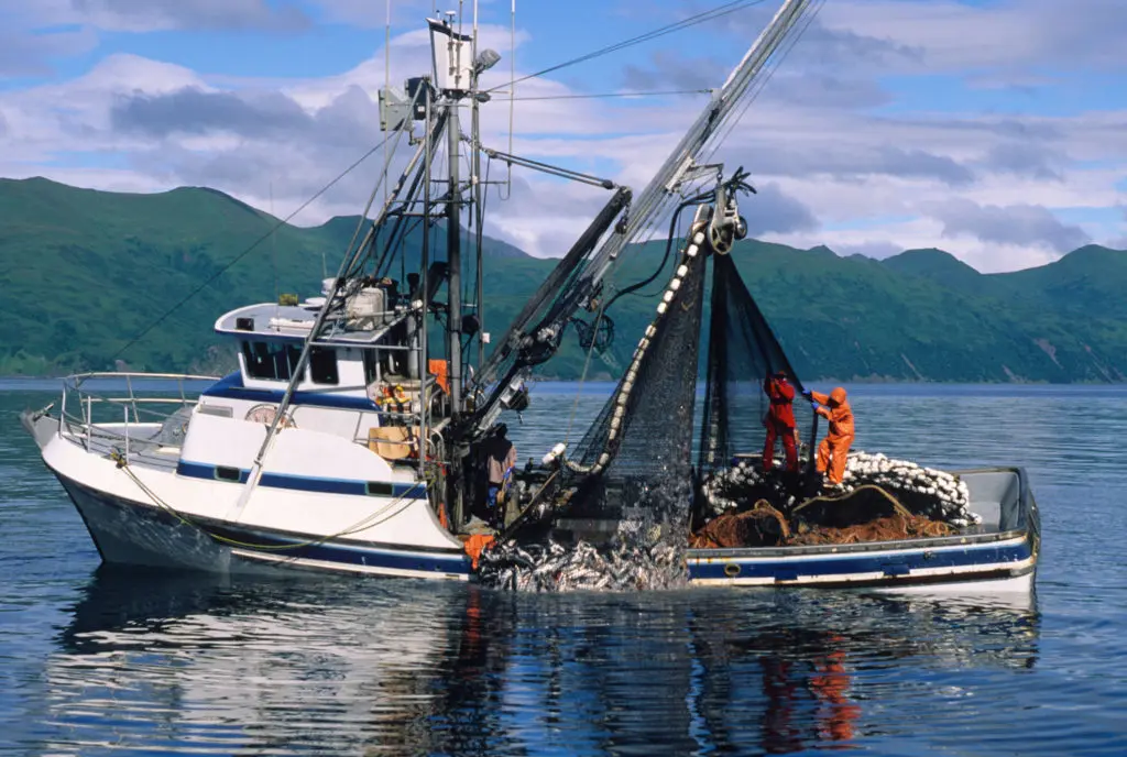 Fishing and Hunting Workers