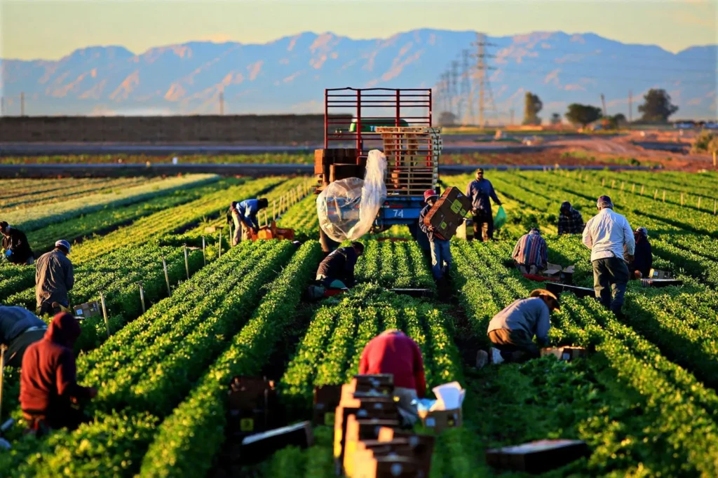Farming and Agricultural Workers
