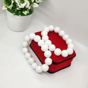 WhatsApp Image 2025-10-21 at 01.18.51