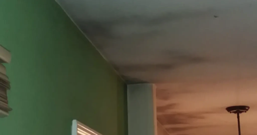 Where Ghost Signatures Commonly Appear in Houses (Walls)